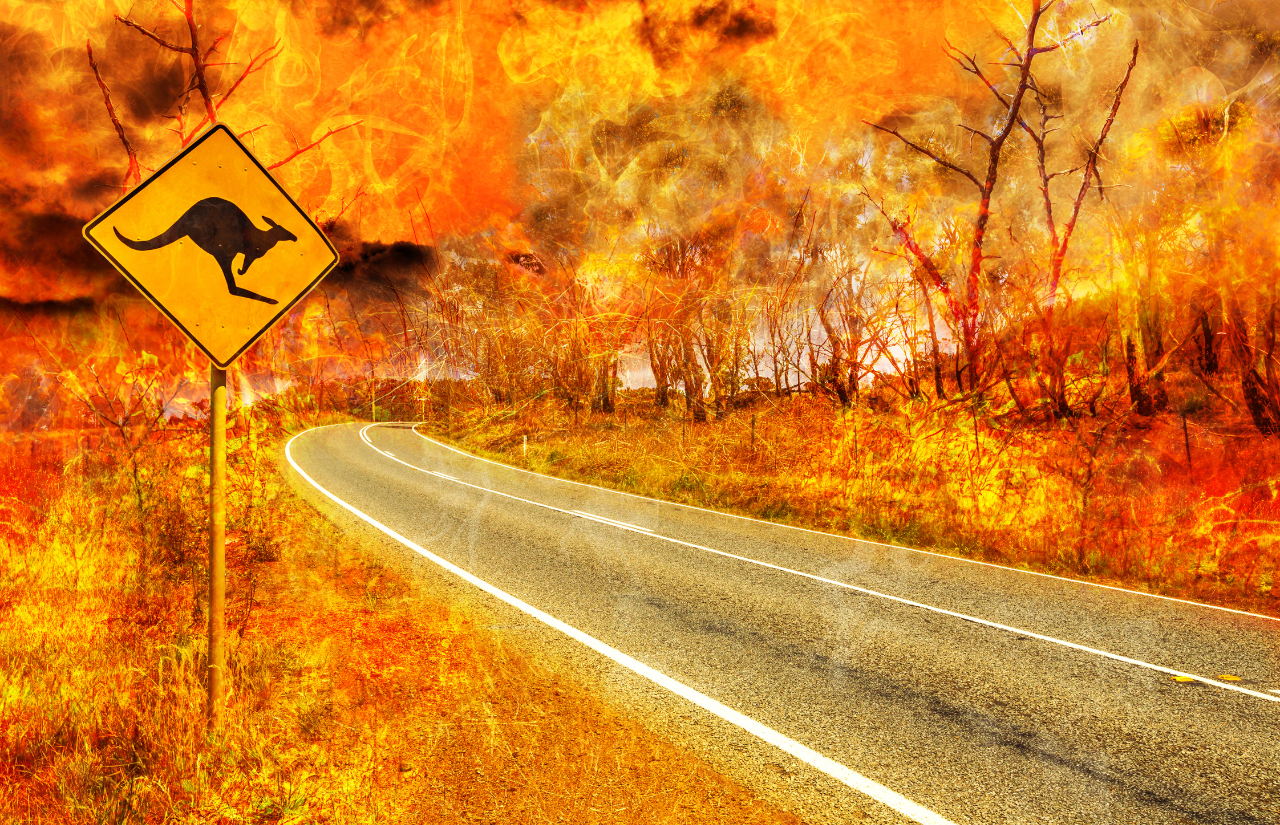 Be prepared for bushfire season this summer - Cornerstone Risk Group